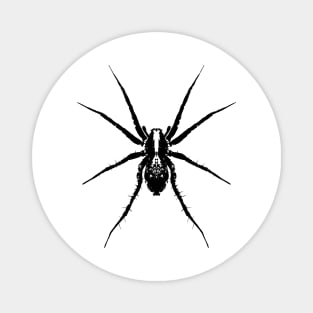 Wolf spider Magnet